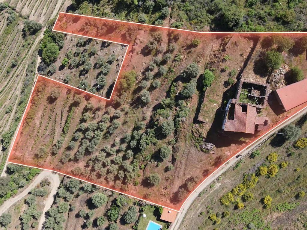 Quinta Fraga do Gato no Alto Douro Vinhateiro com cerca de 6000 m2 - Image 3