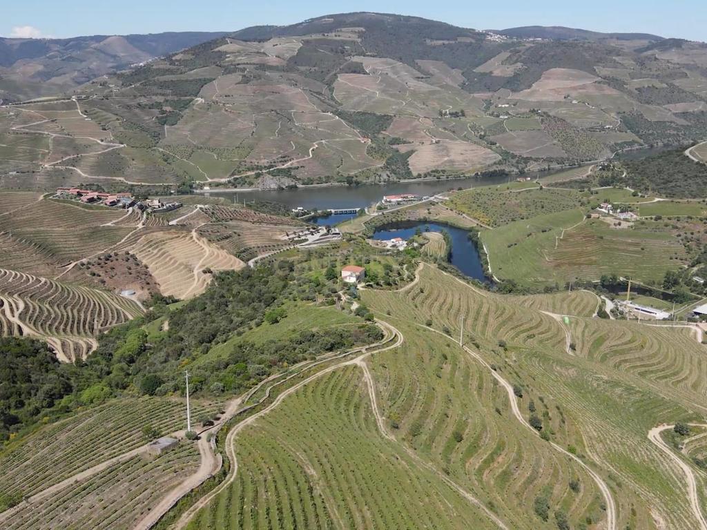 Quinta Fraga do Gato no Alto Douro Vinhateiro com cerca de 6000 m2 - Image 31