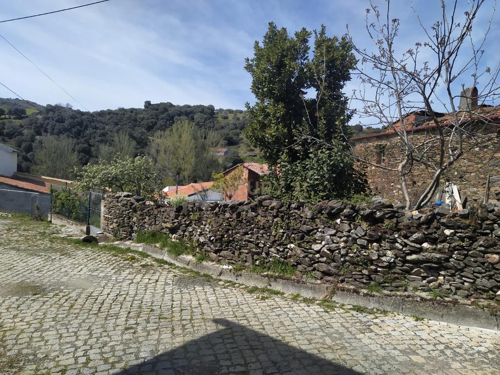 Moradia para recuperar - Veigas (Quintanilha) - Image 6