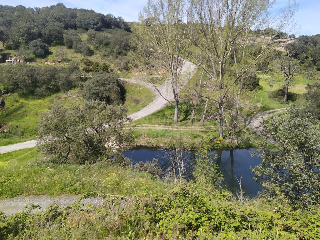 Moradia para recuperar - Veigas (Quintanilha) - Image 7