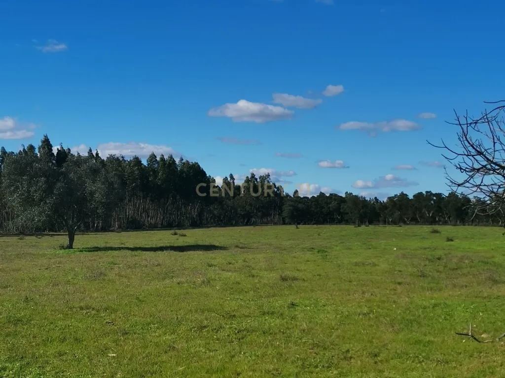 Monte alentejano com uma ruína e 3 hectares de terreno, em Santiago do Cacém - Image 15