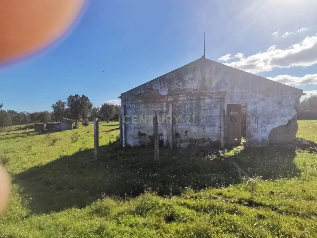 Monte alentejano com uma ruína e 3 hectares de terreno, em Santiago do Cacém - Image 4