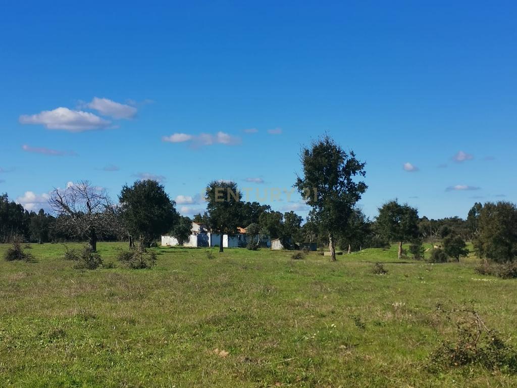 Monte alentejano com uma ruína e 3 hectares de terreno, em Santiago do Cacém - Image 2