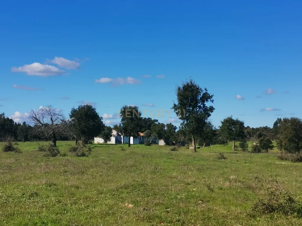 Monte alentejano com uma ruína e 3 hectares de terreno, em Santiago do Cacém - Image 2