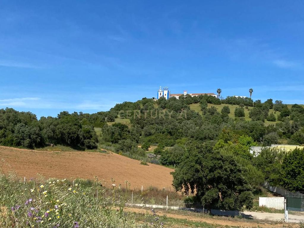 Pequena Quinta, com a área de 1,9304ha, situada na EN4, á entrada de Montemor-o-Novo. - Image 5