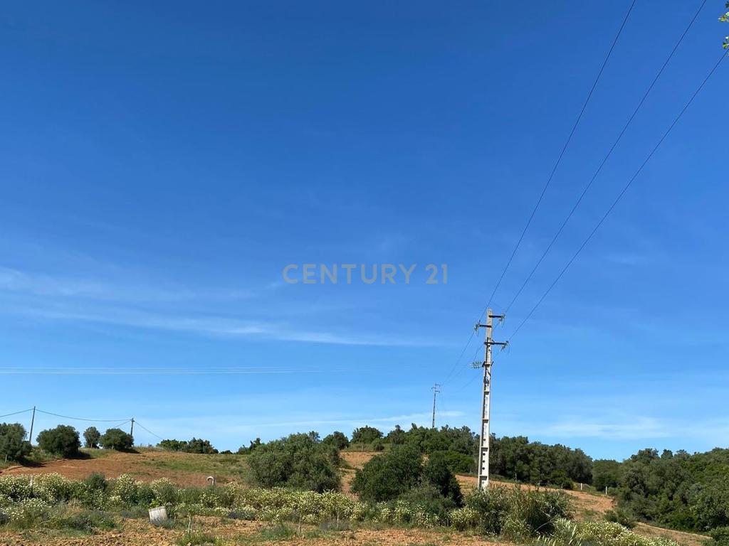 Pequena Quinta, com a área de 1,9304ha, situada na EN4, á entrada de Montemor-o-Novo. - Image 7