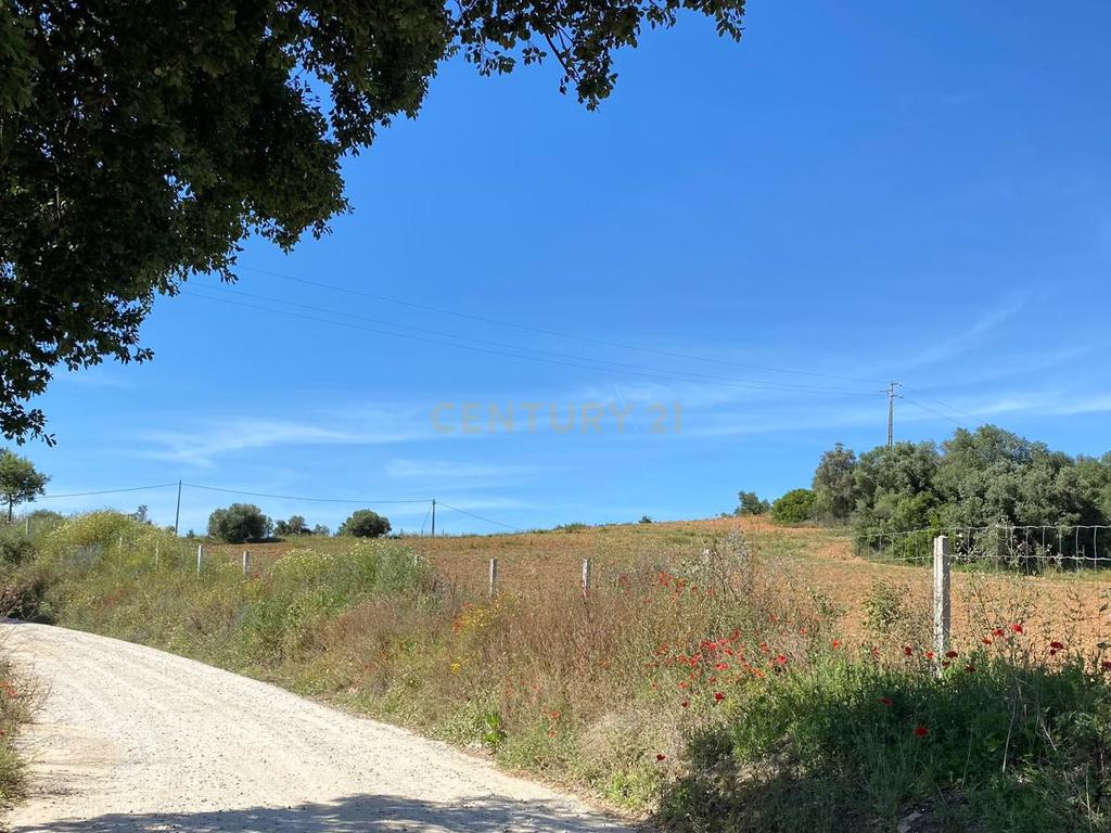 Pequena Quinta, com a área de 1,9304ha, situada na EN4, á entrada de Montemor-o-Novo. - Image 8