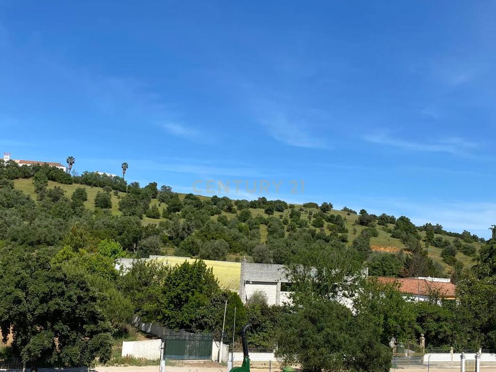Pequena Quinta, com a área de 1,9304ha, situada na EN4, á entrada de Montemor-o-Novo. - Image 4