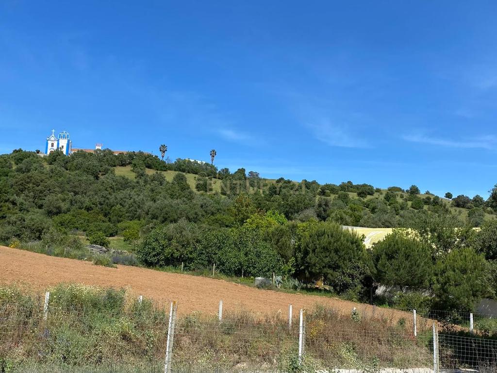 Pequena Quinta, com a área de 1,9304ha, situada na EN4, á entrada de Montemor-o-Novo. - Image 6