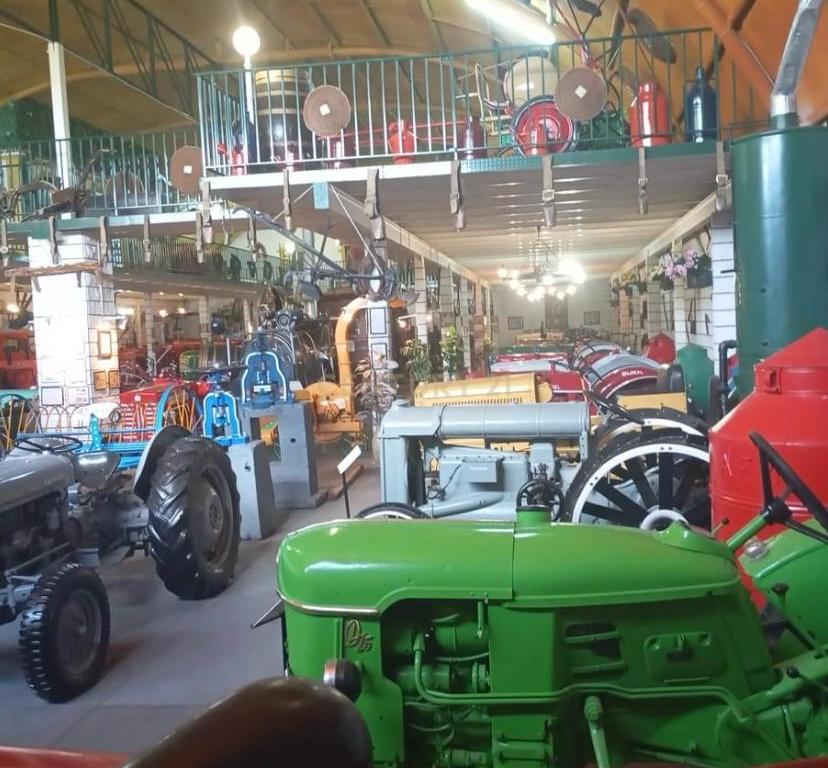 Pequena Quinta, com a área de 1,9304ha, situada na EN4, á entrada de Montemor-o-Novo. - Image 34