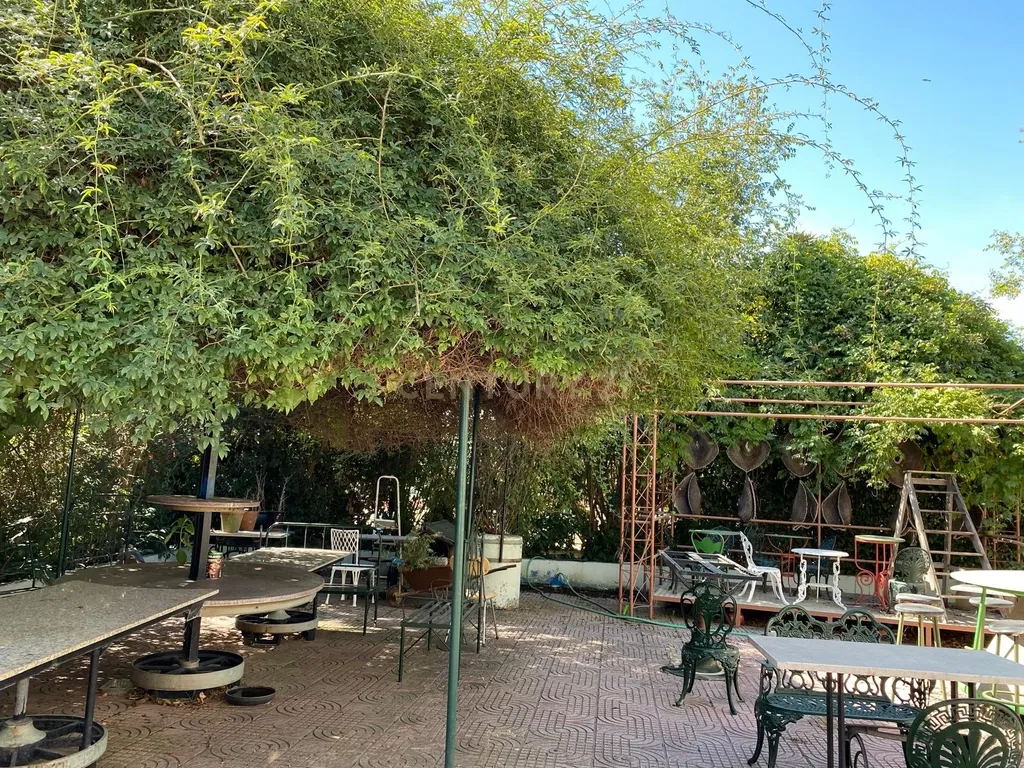 Pequena Quinta, com a área de 1,9304ha, situada na EN4, á entrada de Montemor-o-Novo. - Image 33