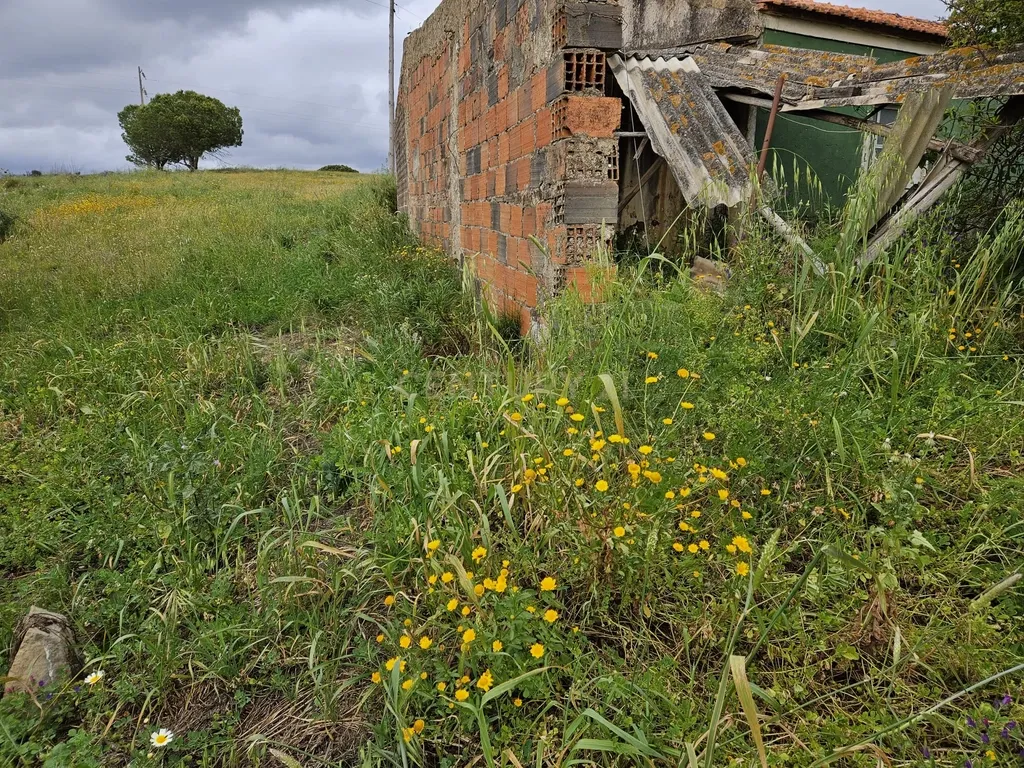Oportunidade Única! Terreno Rústico com Habitação para Recuperar em Mexilhoeira Grande, Portimão - Image 11