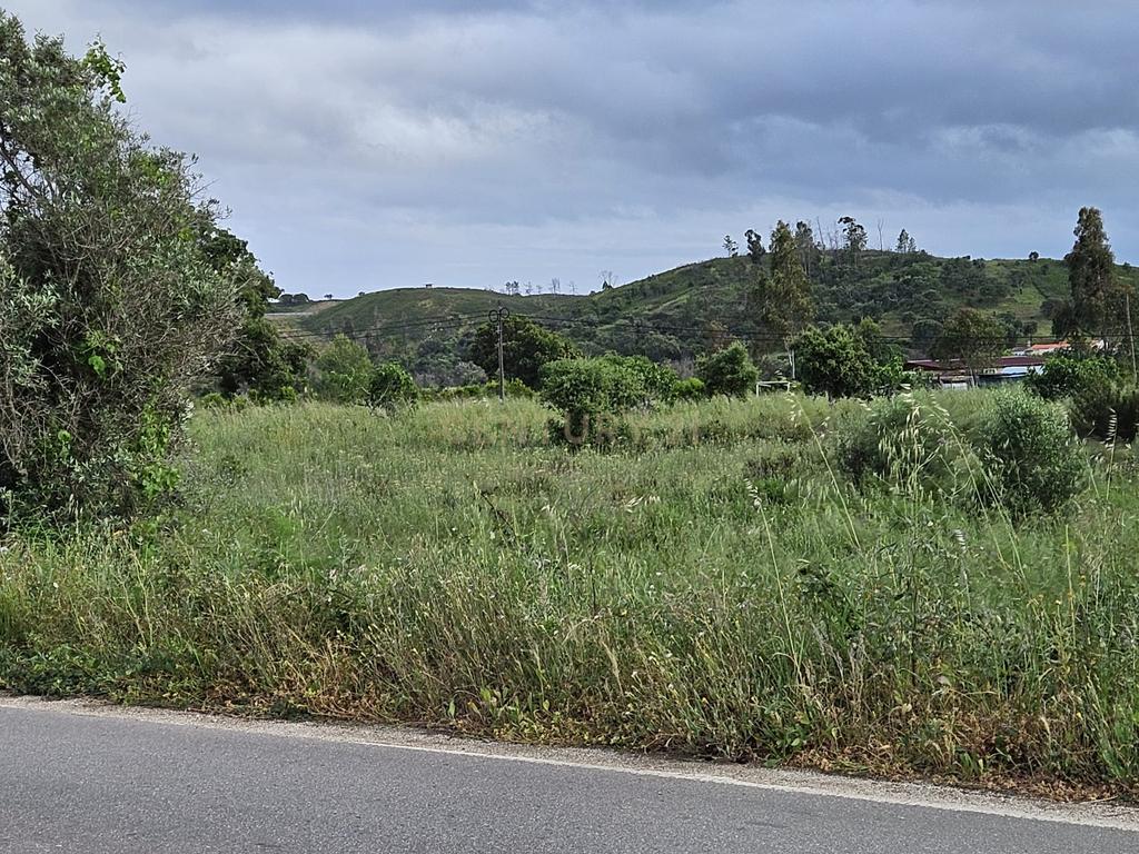 Oportunidade Única! Terreno Rústico com Habitação para Recuperar em Mexilhoeira Grande, Portimão - Image 32