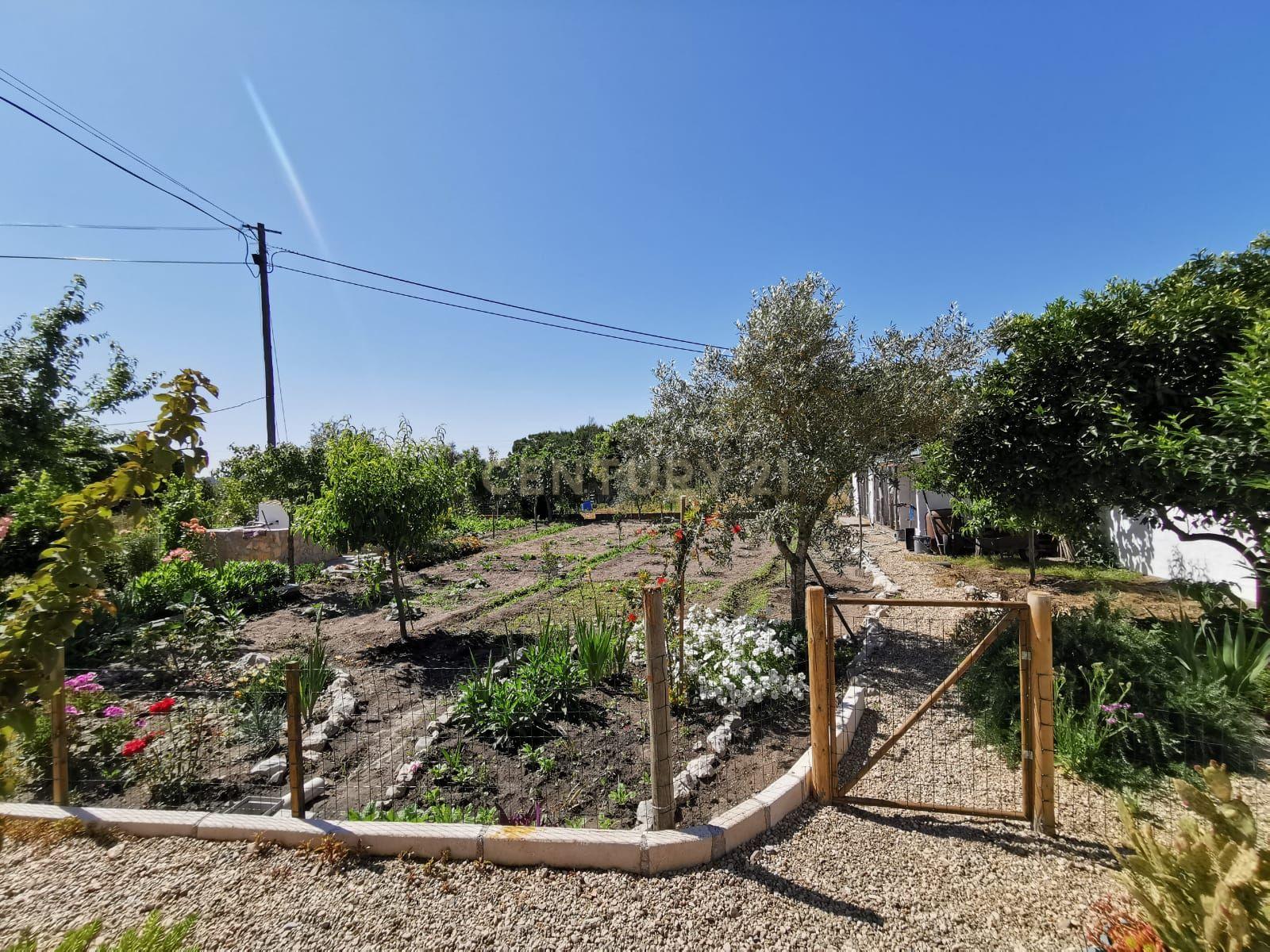 Moradias T3 + T2 (Lote com 1.500m2 - Santa Justa, Couço, Coruche - Image 22