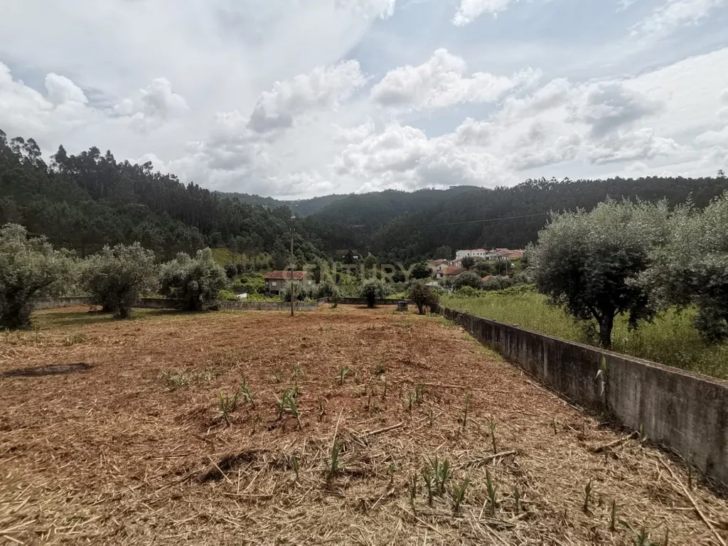 Terreno para Construção | Ceira - Image 18