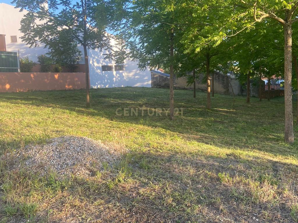 Terreno || Construção || Castanheira || Alcobaça - Image 18