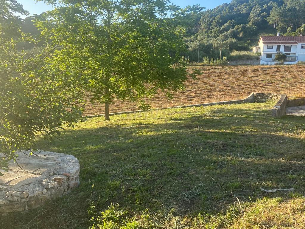 Terreno || Construção || Castanheira || Alcobaça - Image 24