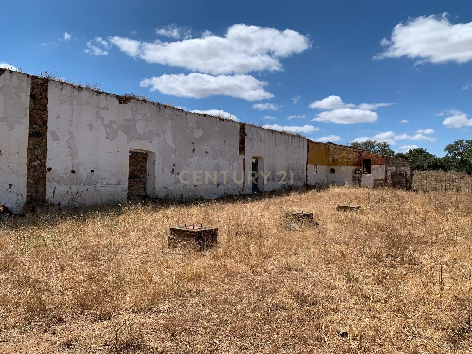 Herdade das Tapadas 87,50ha em Alter do Chão - Alentejo - Portugal - Image 3