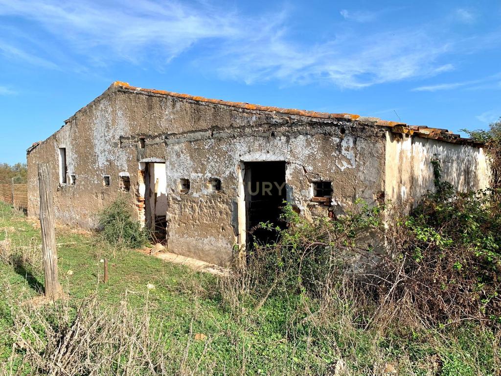 Herdade das Tapadas 87,50ha em Alter do Chão - Alentejo - Portugal - Image 4