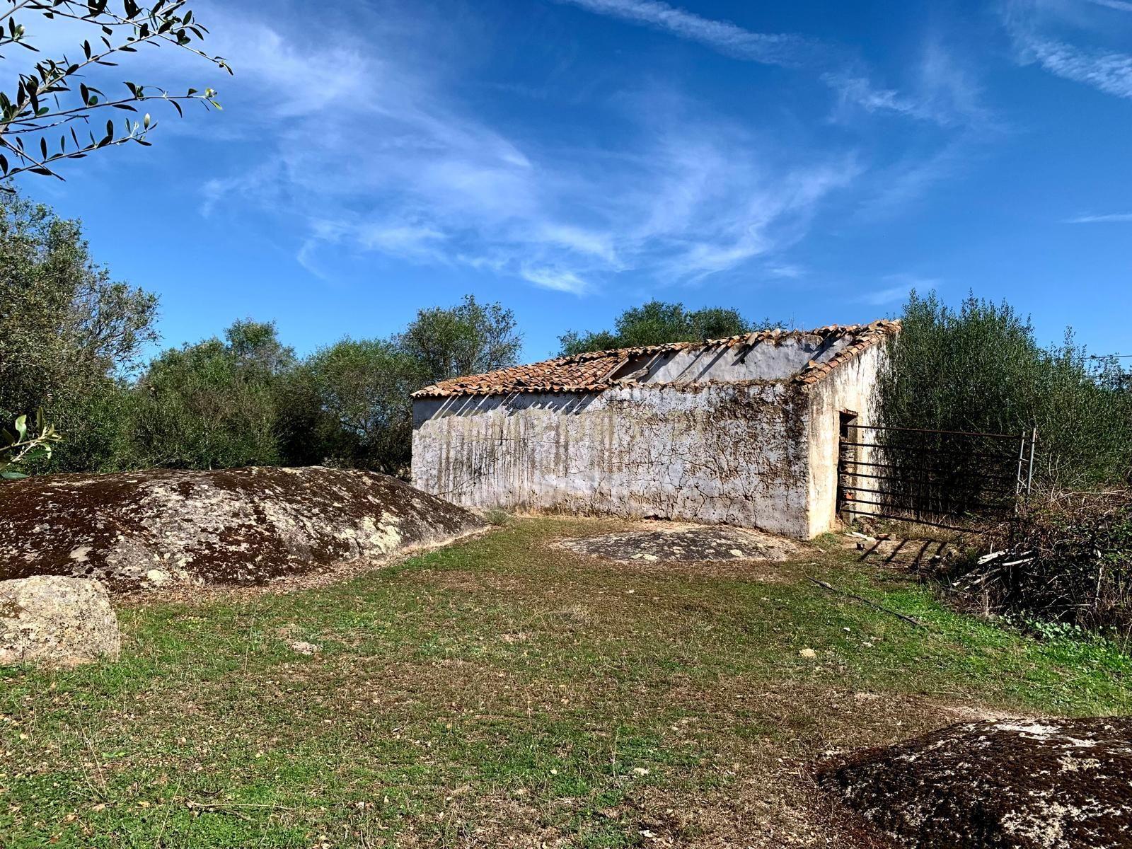 Herdade das Tapadas 87,50ha em Alter do Chão - Alentejo - Portugal - Image 17