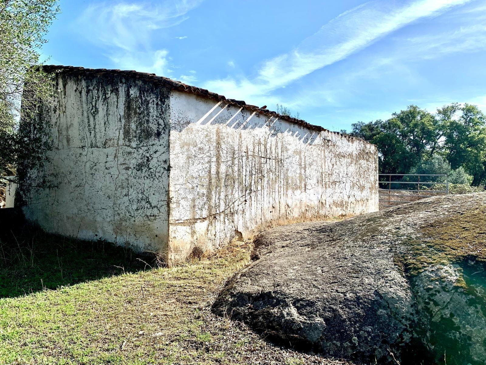 Herdade das Tapadas 87,50ha em Alter do Chão - Alentejo - Portugal - Image 20