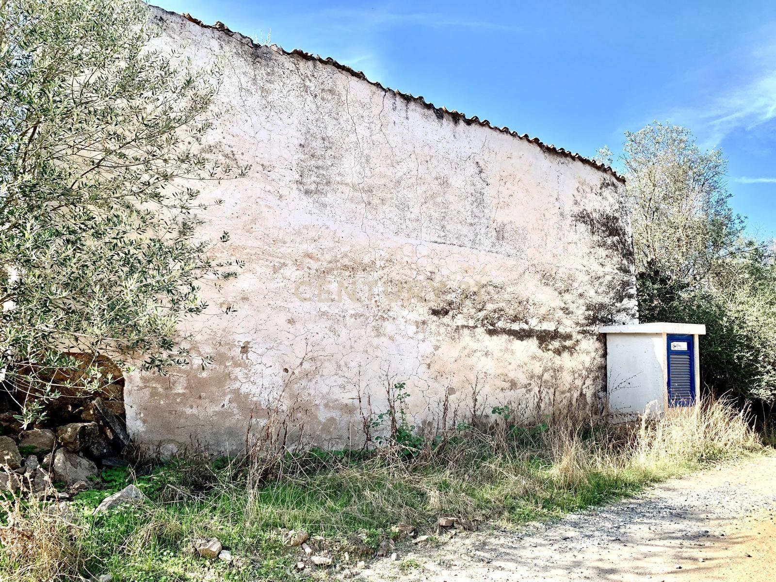 Herdade das Tapadas 87,50ha em Alter do Chão - Alentejo - Portugal - Image 27
