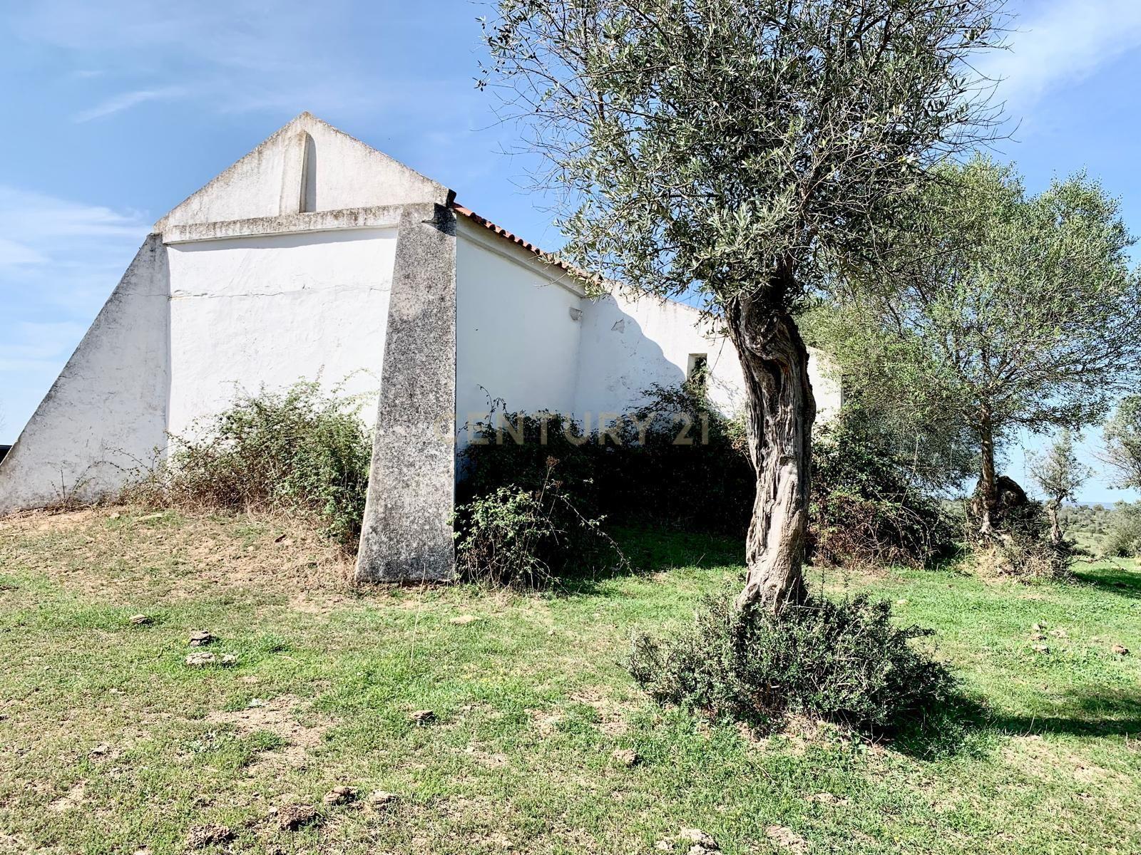 Herdade das Tapadas 87,50ha em Alter do Chão - Alentejo - Portugal - Image 31