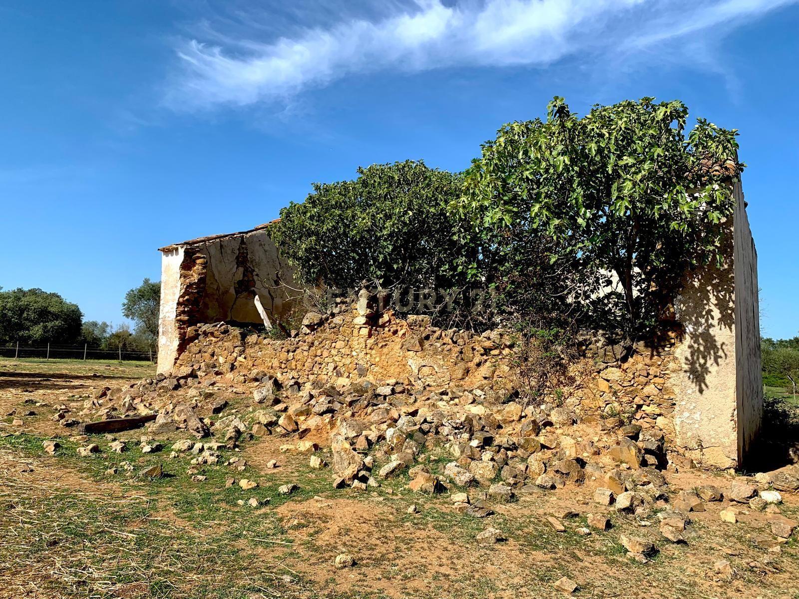 Herdade das Tapadas 87,50ha em Alter do Chão - Alentejo - Portugal - Image 29