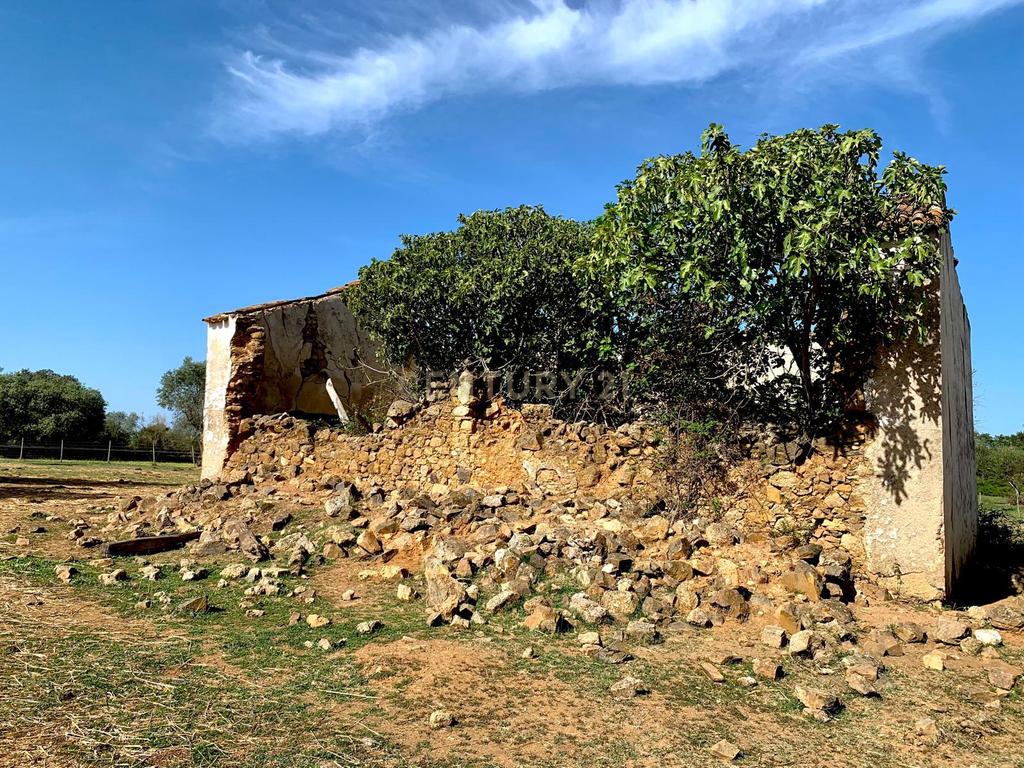 Herdade das Tapadas 87,50ha em Alter do Chão - Alentejo - Portugal - Image 29
