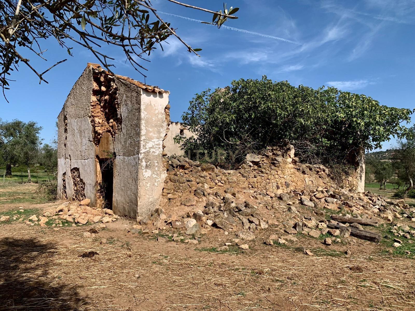 Herdade das Tapadas 87,50ha em Alter do Chão - Alentejo - Portugal - Image 40