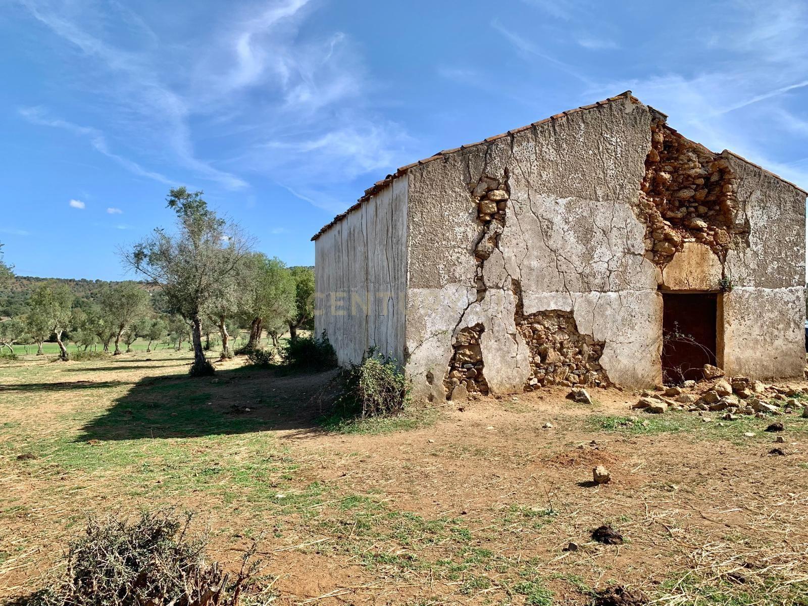 Herdade das Tapadas 87,50ha em Alter do Chão - Alentejo - Portugal - Image 32