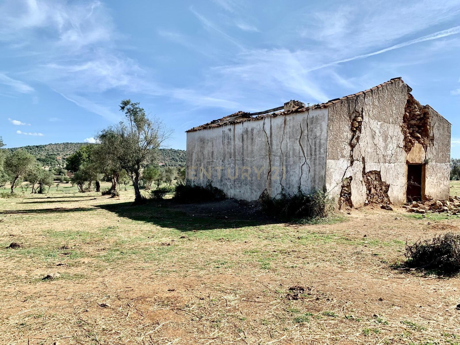 Herdade das Tapadas 87,50ha em Alter do Chão - Alentejo - Portugal - Image 36