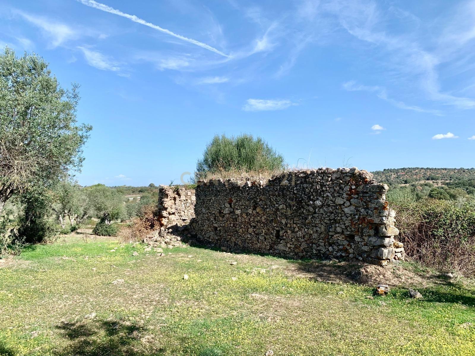 Herdade das Tapadas 87,50ha em Alter do Chão - Alentejo - Portugal - Image 35