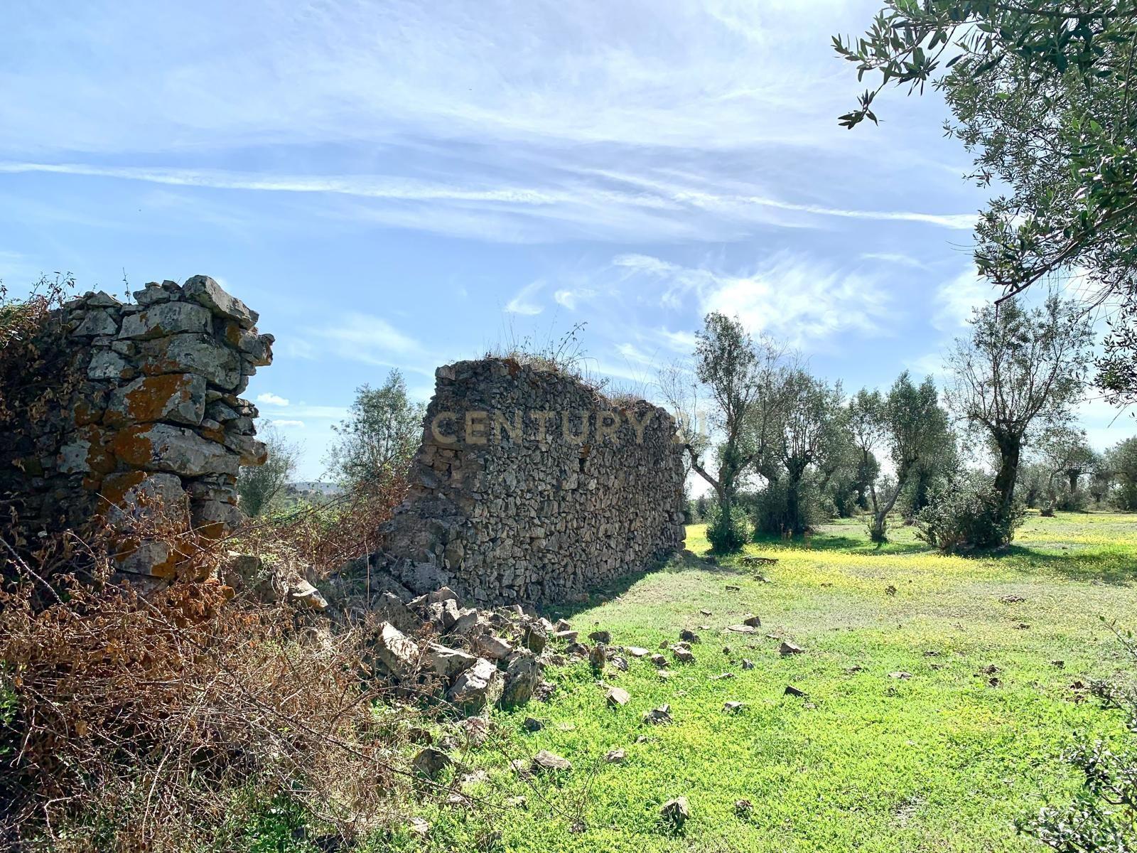 Herdade das Tapadas 87,50ha em Alter do Chão - Alentejo - Portugal - Image 33