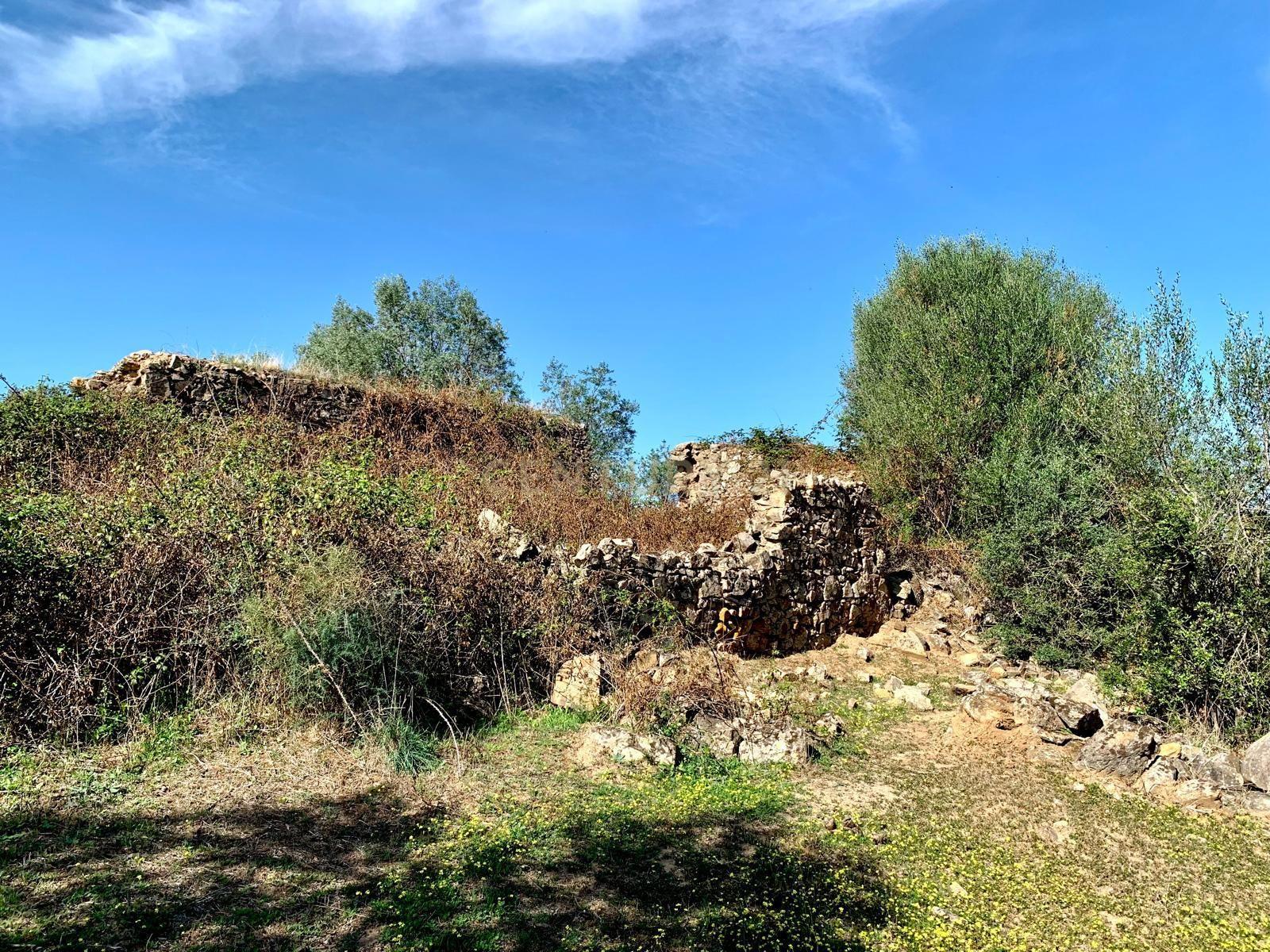 Herdade das Tapadas 87,50ha em Alter do Chão - Alentejo - Portugal - Image 37