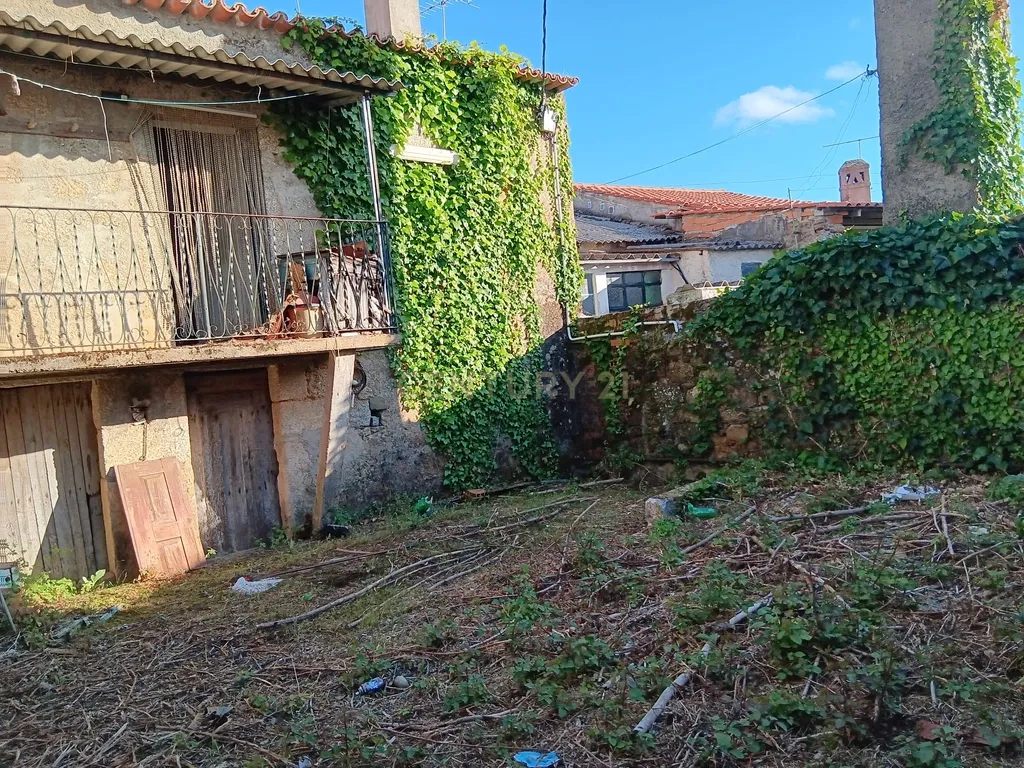 Moradia c/logradouro, São Vicente da Beira, Castelo Branco - Image 6