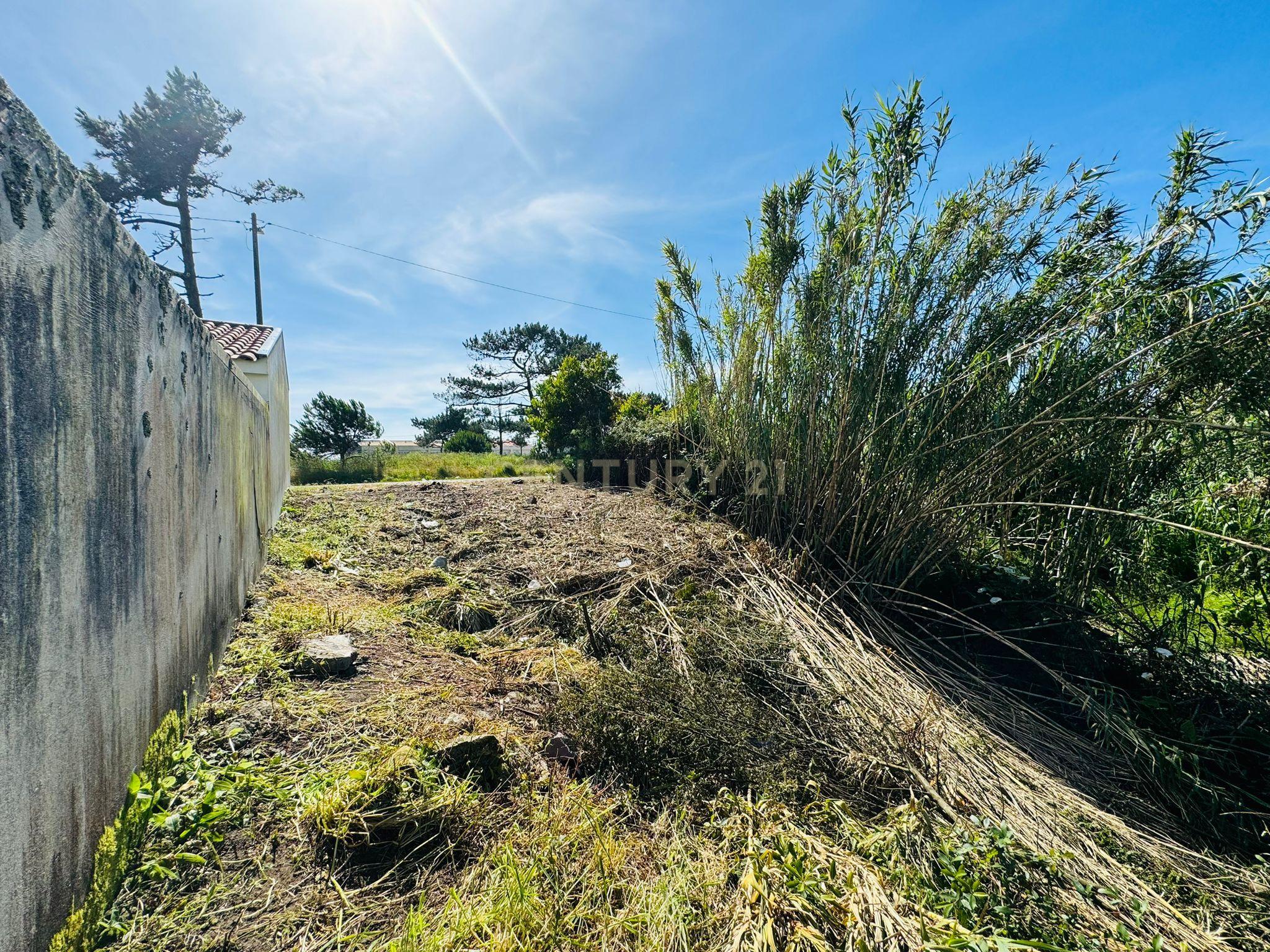 Terreno Urbano em Viana do Castelo - Oportunidade Única! - Image 1