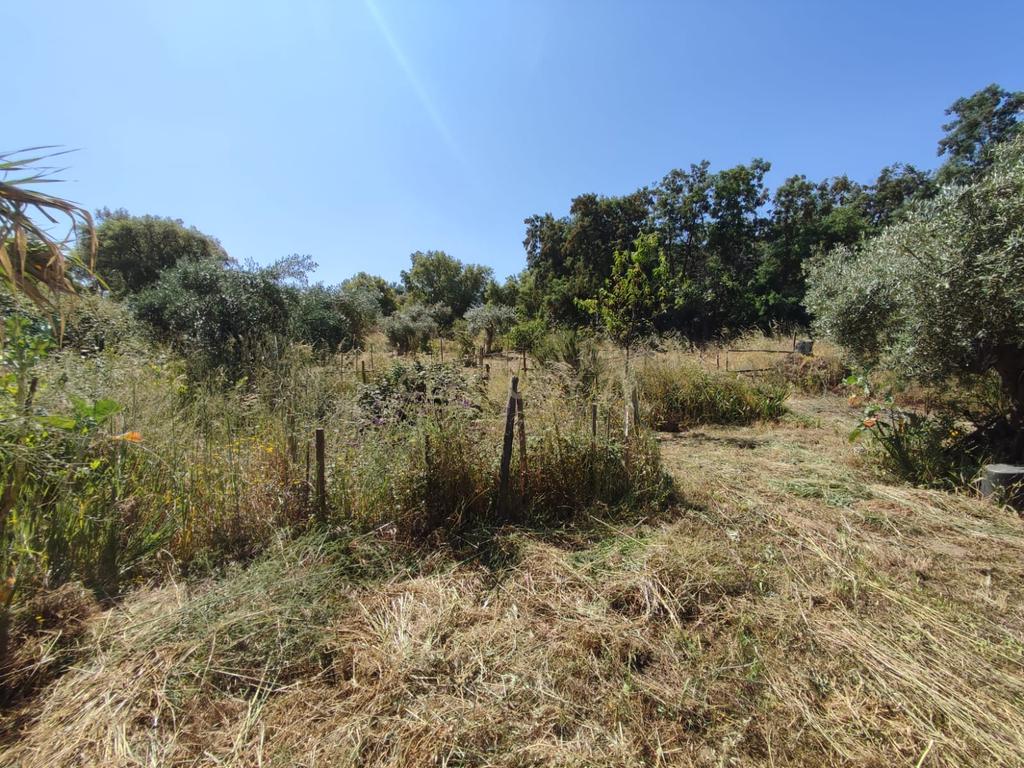 Terreno com água, Aldeia de Santa Margarida - Image 7