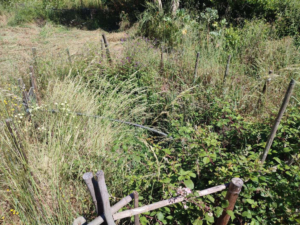 Terreno com água, Aldeia de Santa Margarida - Image 6