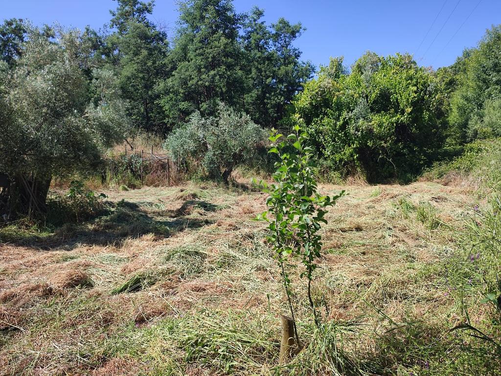 Terreno com água, Aldeia de Santa Margarida - Image 4