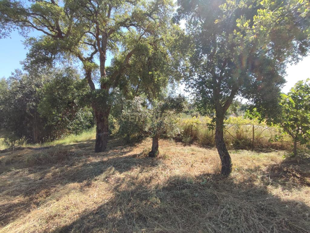 Terreno com água, Aldeia de Santa Margarida - Image 3