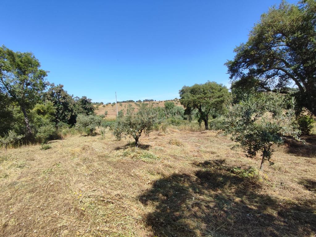 Terreno com água, Aldeia de Santa Margarida - Image 1