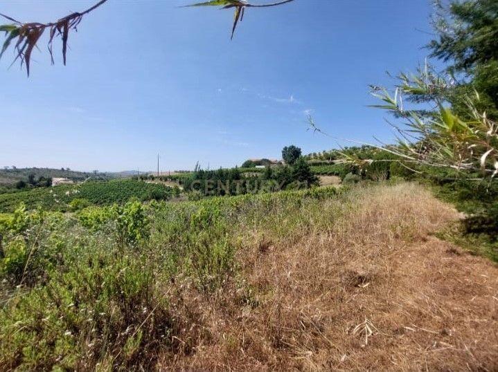 Terreno Rústico de 7000 m2 em Alenquer - Image 3