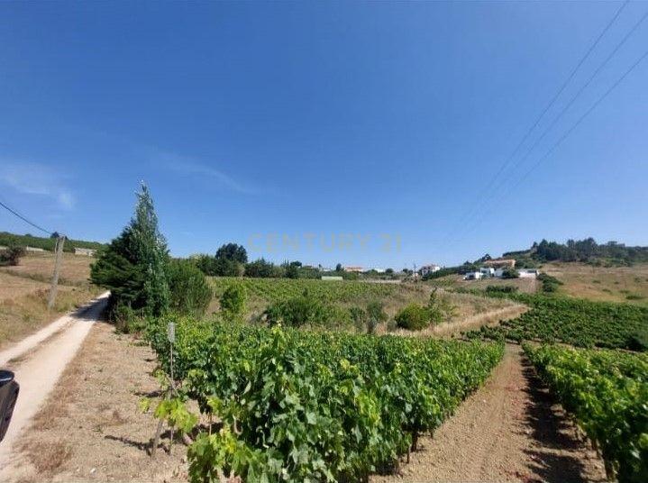 Terreno Rústico de 7000 m2 em Alenquer - Image 8