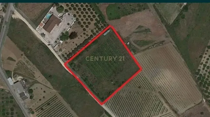 Terreno Rústico de 7000 m2 em Alenquer - Image 1