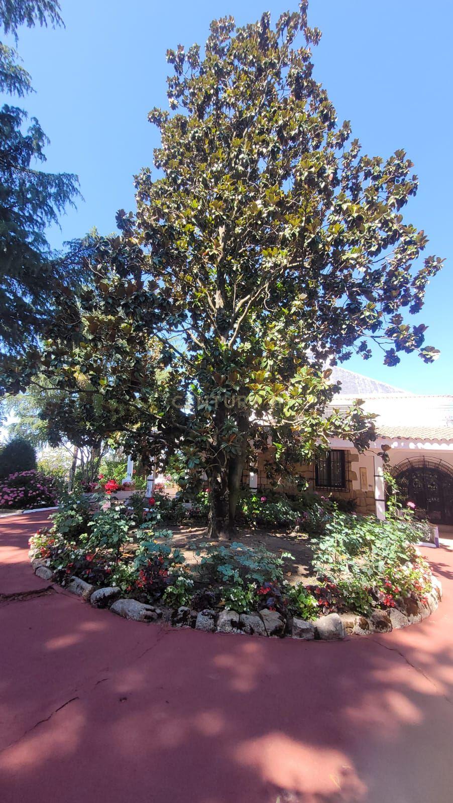 undefined - Image 11
