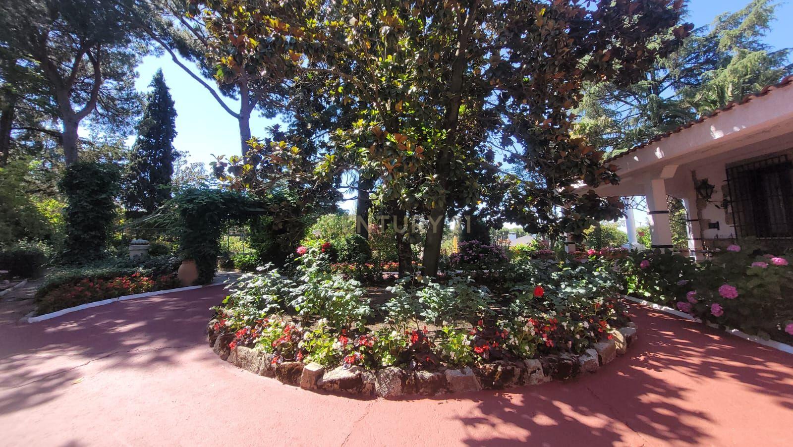 undefined - Image 13