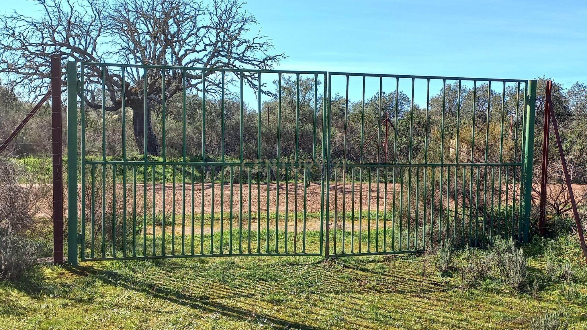 undefined - Image 1