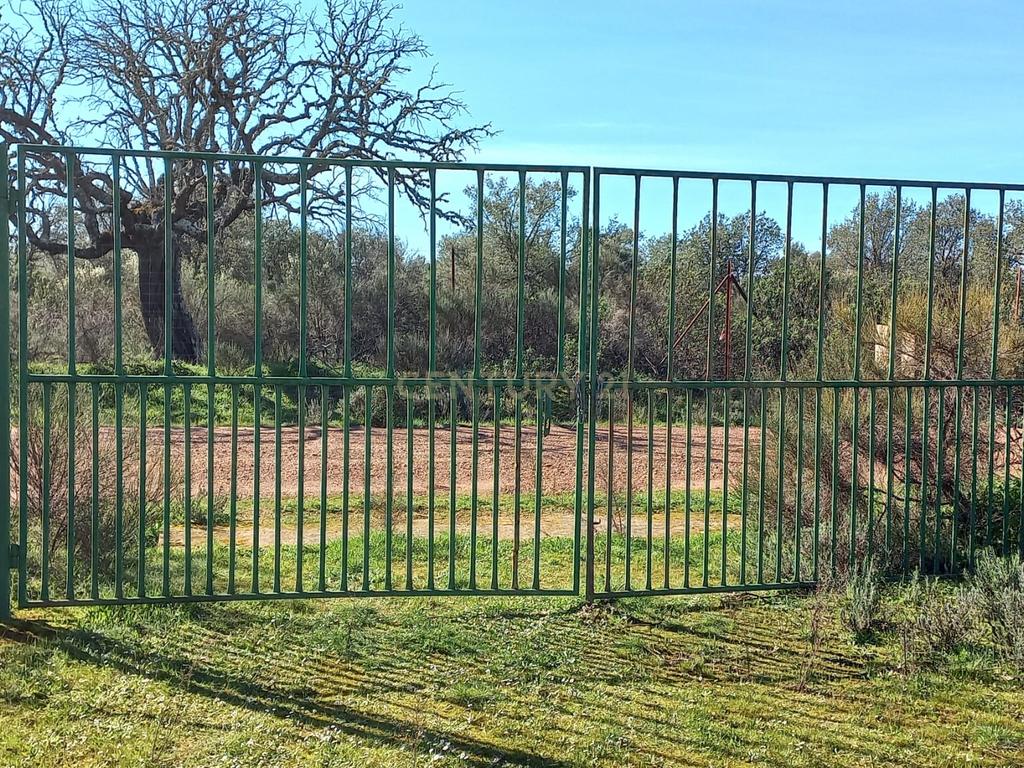 undefined - Image 1