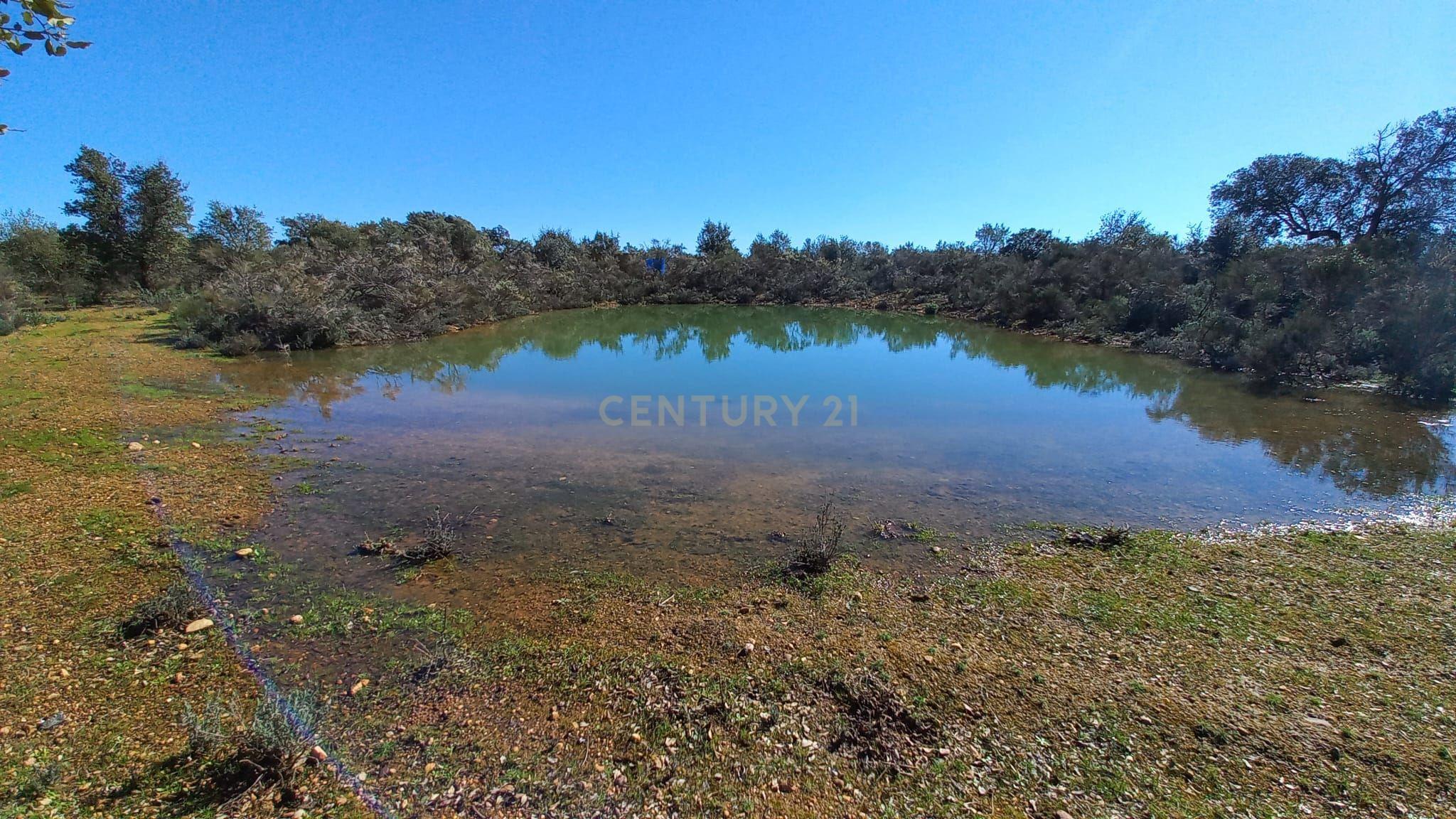 undefined - Image 2